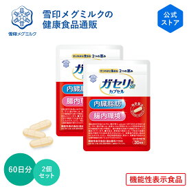 【公式】 ガセリ菌SP株 カプセル 90粒 30日分 2個セット 雪印 メグミルク 機能性表示食品 乳酸菌 ガセリ サプリ 錠剤 内臓脂肪 脂肪の吸収を抑える 排出 肥満 善玉菌 腸内環境 改善