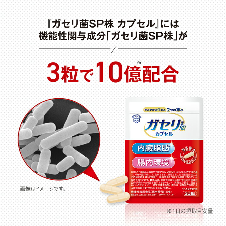 楽天市場】【公式】 ガセリ菌SP株 カプセル 90粒 30日分 雪印 