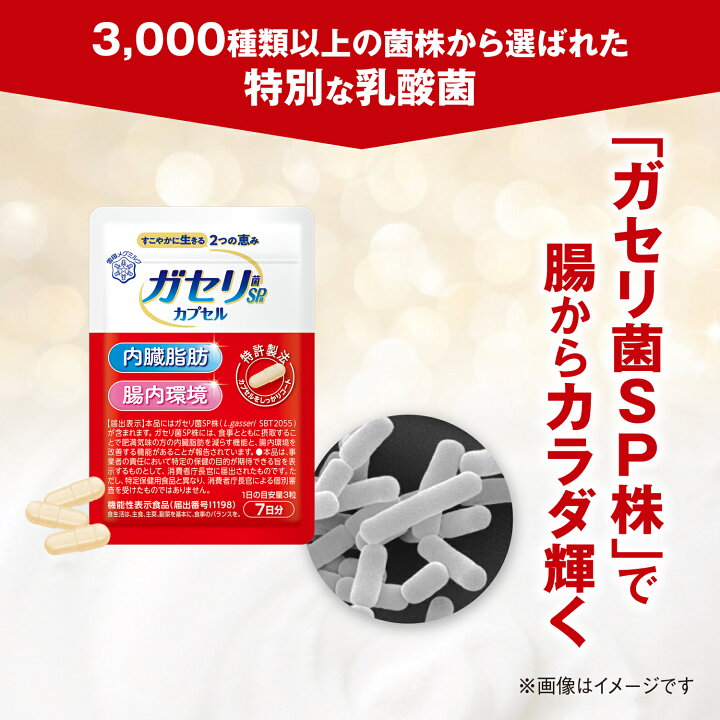 楽天市場】【公式】 ガセリ菌SP株 カプセル 21粒 7日分 お試し 雪印 