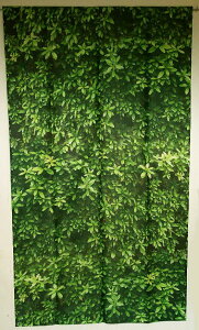 �v�����g �E�H�[�����̂��85 x��150cm �}���`�^�y�X�g���[�E�Ԏd�؂�EPLANT WALL�̂��M-5831-�O���[��-furu