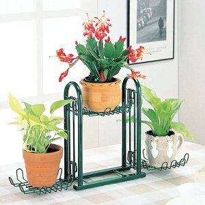 X`[K[fbN3iO[okumura-01053Ђ܂V[Y