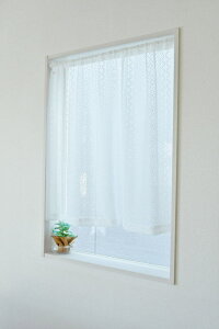 @hpJ[e@100cm×90cm@zCg@S@{ikaei-58675B-90j@JtFJ[e lC  o ډB J[e CeA gCJ[e