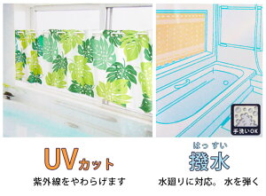 @@@JtFJ[e@145×45cm@Xe@16128naru 11585matu@@JtFJ[e lC  o ډB J[e CeA gCJ[e  UVJbg O o