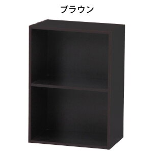 カラーボックス2段 NA WH BR 96501 96502 96503 ナチュラル ホワイト ナチュラル 木製 収納家具 収納棚 本棚 多目的ラック ディスプレイ