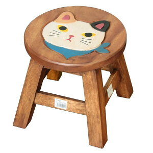 @EbhXc[@[^Cv@XJ[tlR~P@2207-1817@@ԑ  t[X^h fBXvC K[f ~j Xc[ |  CX ֎q