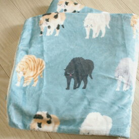 猫柄 ヤンノカキャット デジプリブランケット 裏ボア ふんわりあったかマイクロフランネル 膝かけ 毛布 猫雑貨 猫グッズ ネコ 雑貨 ねこ柄 ネコグッズ キャット 可愛い ギフト包装無料 ラッピング無料