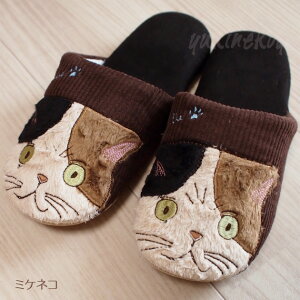 Xbp L lRXbp H~ n` ~PlR L [V[Y  qp 킢  Mtg v[g LG LObY lR G ˂ lRObY Lbg mA