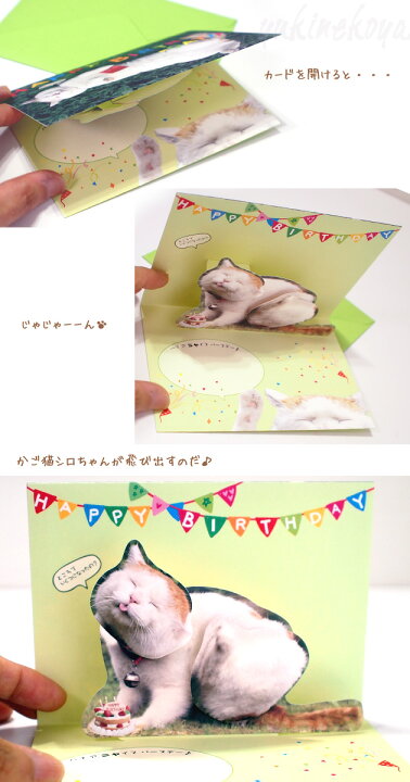 楽天市場 猫のグリーティングカード かご猫シロのいい気分 猫のポップアップ 飛び出すグリーティングカード Happy Birthday 誕生祝い 封筒付き 誕生カード バースデーカード メッセージカード 文房具 ステーショナリー 猫雑貨 ネコグッズ ねこ キャット 学研ステイフル 楽天市場 猫のグリーティングカード かご猫シロのいい気分 猫のポップアップ 飛び出すグリーティングカード Happy Birthday 誕生祝い 封筒付き 誕生カード バースデーカード メッセージカード 文房具 ステーショナリー 猫雑貨 ネコグッズ ねこ キャット 学研ステイフル