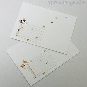 ~j lR ~jepP[X |^OLbg [ Xe[Vi[ LG LObY lRObY lR G ˂ Lbg