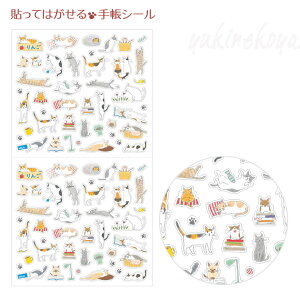 L \Ă͂ 蒠V[ S 򂳂 [ Xe[Vi[ Mtg LG lRObY ˂ Lbg fUCtB ~hJpj[