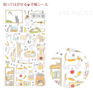 L \Ă͂ 蒠V[ M 򂳂 [ Xe[Vi[ Mtg LG lRObY ˂ Lbg fUCtB ~hJpj[