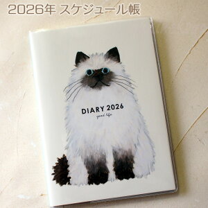 XPW[ L 2026N Ē×S B6 \tgJo[XPW[ }X[ EB[N[ 蒠 _CA[ [ Xe[Vi[ LG lRObY ˂ Lbg O[eBOC