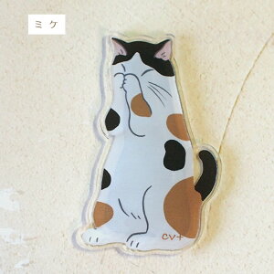 L̃AN}Olbg 肢ɂ  { [ Xe[Vi[ LG LObY lRObY lR G ˂ Lbg mAt@~[