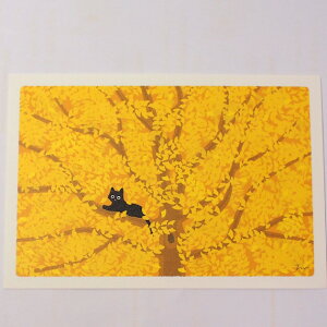 L |XgJ[h т˂ ؂̗t Xr Ƃ̂ L Gt G͂ [ Xe[Vi[ LG lRObY ˂ L Lbg