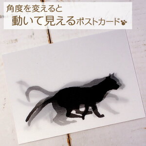 猫 ポストカード グリーティングカードの人気商品 通販 価格比較 価格 Com 猫 ポストカード グリーティングカードの人気商品 通販 価格比較 価格 Com