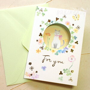 L O[eBOJ[h For you g Tog L VL ړI  t taneko t bZ[WJ[h [ Xe[Vi[ LG lRObY ˂ Lbg