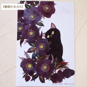 �L �|�X�g�J�[�h aya nariai �L�̃|�X�g�J�[�h ���ʉ� �G�t�� �G�͂��� ���[�� �X�e�[�V���i���[ �L�G�� �L�O�b�Y �l�R�G�� �˂��� �L���b�g