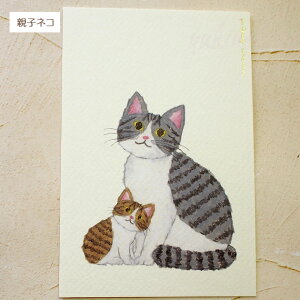 L |XgJ[h Ē×S Gt G͂ [ Xe[Vi[ LG lRObY ˂ L Lbg O[eBOCt