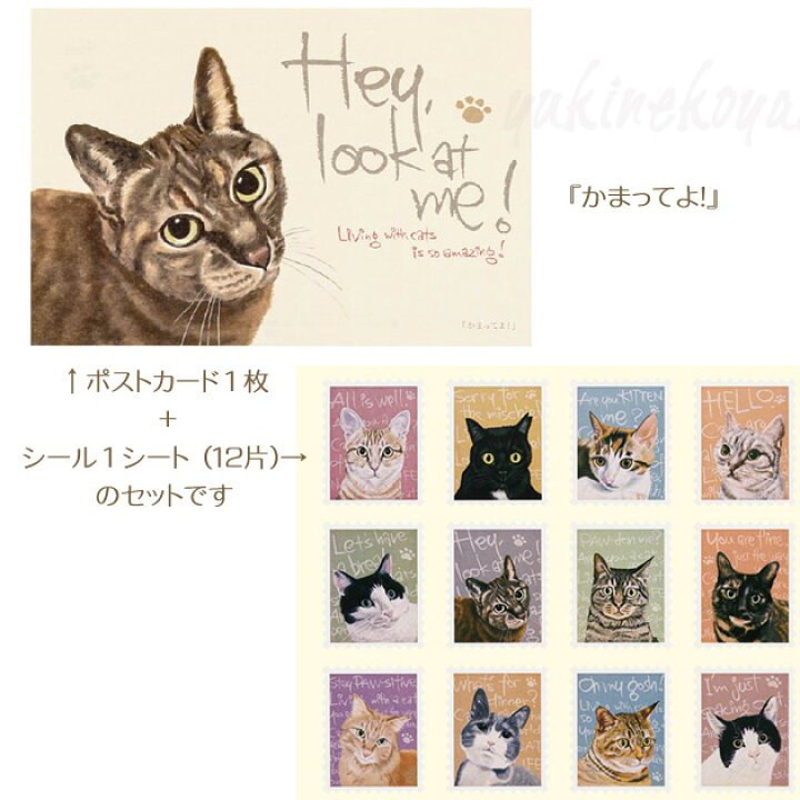 楽天市場】保護猫 シール ポストカード セット シール12片 ポスト 