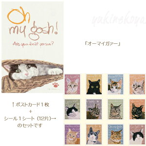 یL V[ |XgJ[h Zbg V[12 |XgJ[h1 [ Xe[Vi[ Mtg LG lRObY ˂ Lbg