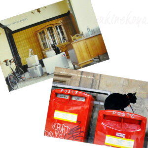 猫 ポストカード 黒猫ノロ ポストカード Part8 文房具 ステーショナリー 猫雑貨 ネコグッズ ねこ 猫柄 キャット
