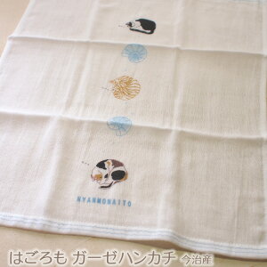 L z ͂K[[ jiCg ڂnJ` dK[[ 100 { Y nh^I z   s K[fjO EH[LO oR C Lb`^I 