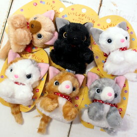 楽天市場 猫 マグネット ぬいぐるみの通販