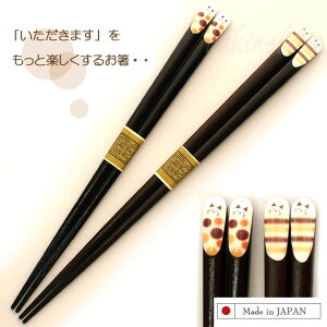 LfUĈ h ق̂ڂ̃Lbg { 23cm 21cm Mtg LG lRObY ˂ Lbg