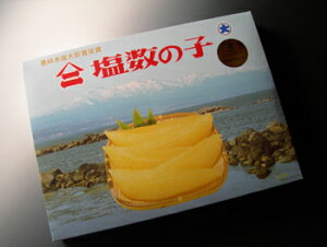 ōuhy䌴Yz̎qF_Cy}jz̎qyẑ JYmR ̎q kC Mtg 蕨  v[g LO CY Y 