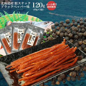 sȈՃpbNtƂ  kC Oǂق Ƃ ubNybp[ 120gi40g×3܁j [  Ӟ ܂ ȈՕ go VP  |CgkC(zbJChE) 
