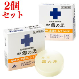 【セール限定！20％OFF】【第3類医薬品】【セルフメディケーション税制対象】［公式］外用雪の元 20g 2個セット｜雪の元 雪の元本店 送料無料 ワセリン 軟膏 かゆみ止め 非ステロイド 湿疹 皮膚炎 乾燥肌 敏感肌 かゆみ しっしん じんましん かぶれ ただれ あせも