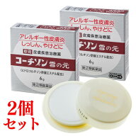【マラソン中 最大15％OFF】【第(2)類医薬品】コーチゾン雪の元 6g 2個セット｜ ステロイド 外用薬 かゆ…