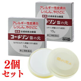 【セール限定！20％OFF】【第(2)類医薬品】【セルフメディケーション税制対象】［公式］コーチゾン雪の元 15g 2個セット ｜ ステロイド 外用薬 かゆみ止め アトピー性皮膚炎などによるかゆみに 塗り薬 湿疹 アレルギー性皮膚炎