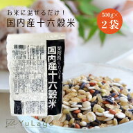 国内産十六穀米 業務用 500g 2袋セット 雑穀 ご飯 雑穀米 穀米