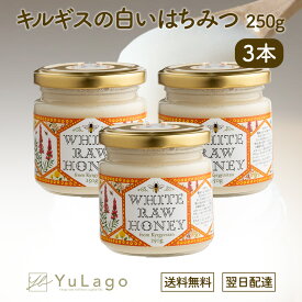 エコチャージ キルギスの白いはちみつ 250g 3個セット honey キルギス ハチミツ はちみつ 蜂蜜 はちみつ 生はちみつ エコチャージジャパン 蜂蜜 ハチミツ ハニー ローハニー 非加熱 プレゼント ギフト