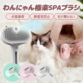【セール中限定2980円→2780円★A級トリマー監修】 猫ブラシ スチーム 猫 犬 毛取り スリッカーブラシ スチームブラシ ネコブラシ ブラッシング ブラシ ミスト ペット 毛取りブラシ ねこブラシ 犬ブラシ 猫の毛取り 水タンク付き 猫用 犬用 ペットブラシ ペット