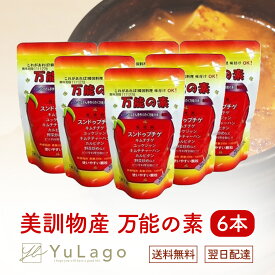 美訓物産 万能の素 100g こちゅじゃん コチュジャン スープ 美味しい おいしい 万能 唐辛子 韓国料理 激辛好き 韓国食品 スンドゥブ 麻婆豆腐 韓国調味料 スープの素 激辛好き 万能調味料 調味料 辛いスープ プレゼント