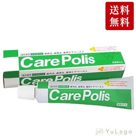 薬用歯磨 ケアポリス 75g 医薬部外品 単品 歯磨き粉 ハミガキ粉 歯肉ケア 口臭 はみがき 歯周炎 口内炎 むし歯 プレゼント ギフト