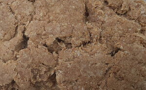 lC ؓ 1kg×12piP1630~ŕʁjƖp@C