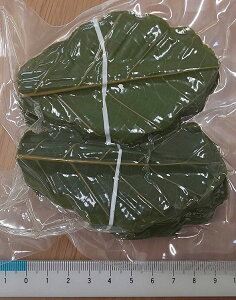 ~j̗t @t@100×30PiP598~ŕʁjƖp@W6×L9`10cm@aَqo@퉷@Ɩp@C