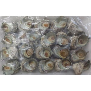 Y@Pā@1kgi30-50gjx10PiP3250~ŕʁj@Ɩp@C@i@i