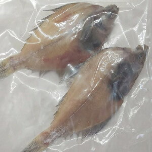 GeJCiSj35i40-59gj×6PiP2730~ŕʁjƖp@C@Ⓚ