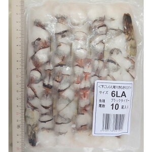 炦tL΂CV@10i41gj×18PiP2150~ŕʁj@Ɩp@C