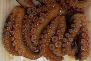 t炩 Ō`750gi40j×12piP3900~ŕʁjƖp@C