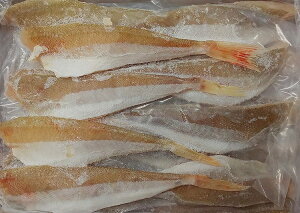 @JiKV@ttB[@550gi30 )×20PiP980~ŕʁjƖp@C