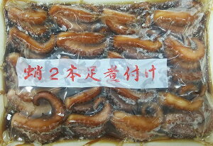 Ɩp 2{ϕt@450gi20j×20PiP2,300~ŕʁjƖp@C