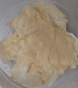 fނ܂邲 100 ΂点ׂ F 12g(^bpj×48{i{420~ŕʁjC^L@Ɩp@C