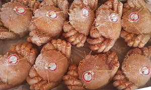 kC̓VAY@{CъI@p@8Kg(12`14)@(kg6,900~ŕ) Ⓚ@lCi@I@Ɩp@C