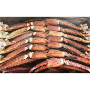 {CgQYCIiL`3Lj10kgi5kg×2jkg3380~ŕʁ@Ɩp@C