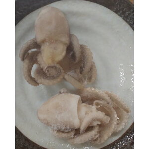 u`O@@IQF@400gi17Pj×20PiP1160~ŕʁj Ɩp C